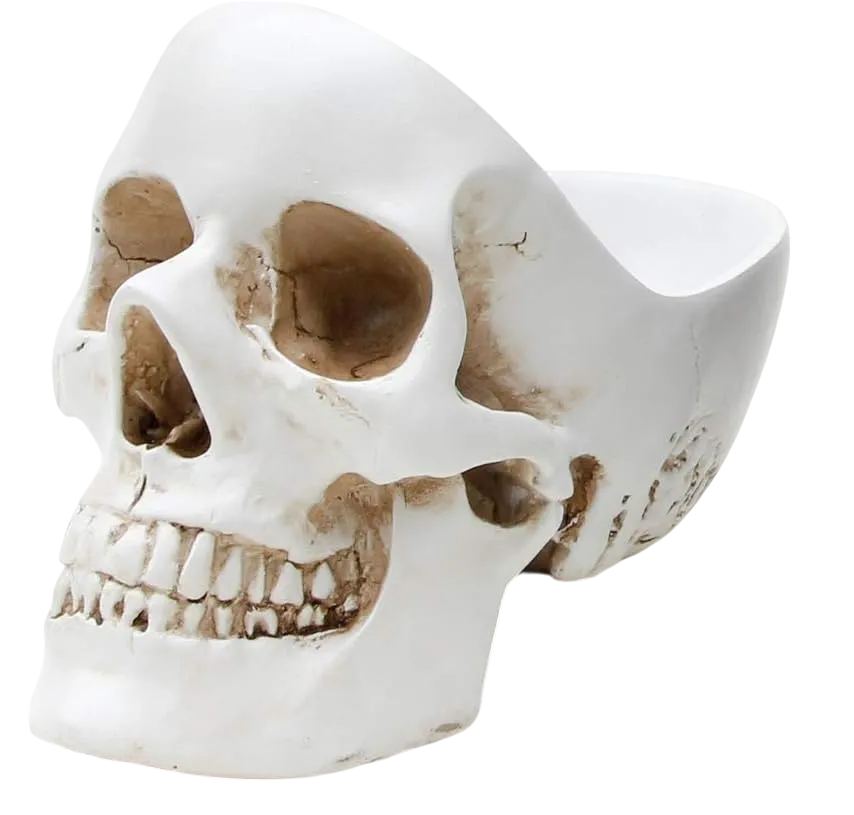 Skull Jewelry Organizer & Key Holder